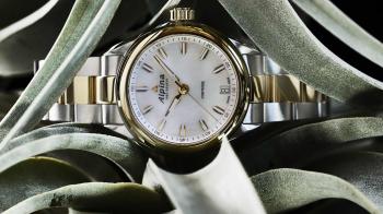 Comtesse Lady Collection - Alpina