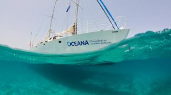 Exclusive Partnership With Oceana - Blancpain
