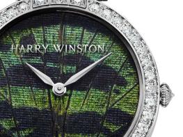 Premier Precious Butterfly Automatic 36mm - Harry Winston