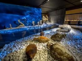 Exhibition on the Antikythera shipwreck - Hublot