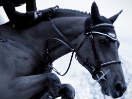 Video. Show Jumping 2014 - Longines