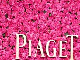 Rose Day - Piaget