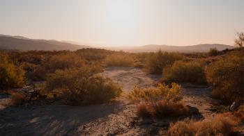Desert X 2021 - Richard Mille