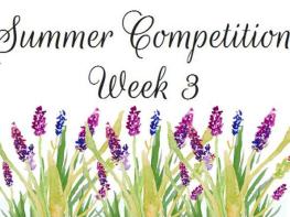 Week three - Summer competition