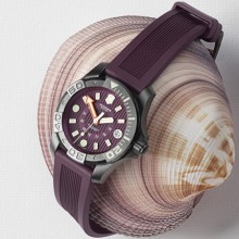 Dive Master 500