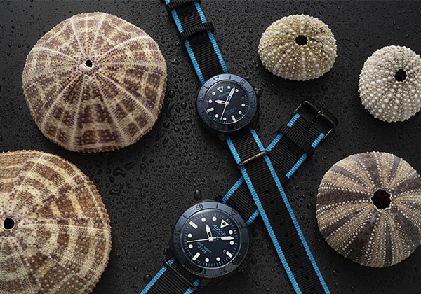 Alpina surfe la vague avec la Swiss Surfing Association