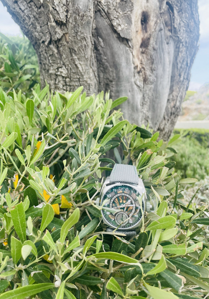 Team Test: WorldTempus X Cyrus