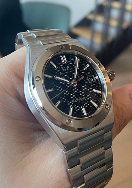 The Return of the Ingenieur