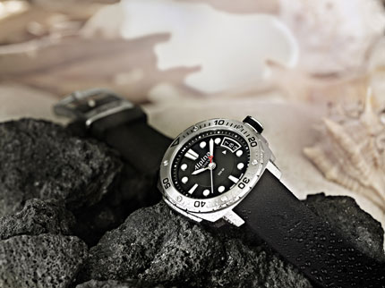 Alpina_333136_1