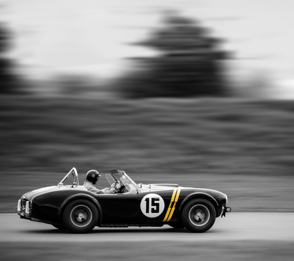 Cobra