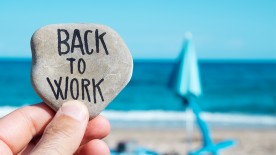Back to work after the summer holidays
