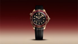 Seamaster Diver 300M in Bronze Gold and Burgundy © Omega