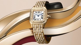 ©Cartier©LisaJohavic