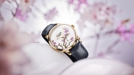 Senator Meissen “Cherry Blossom” © Glashütte Original
