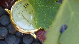 Napa Valley Riches - A. Lange & Söhne