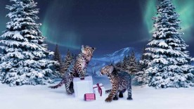Winter Tale - Cartier