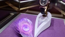 Strutting their Stuff - Glashütte Original