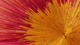 Promising professions - Chronicle