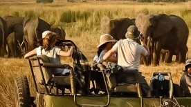 Safari Spirit - Getaway