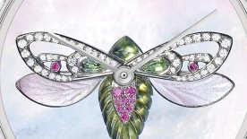 Cicada - Boucheron