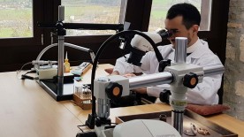 Talents that command respect - Bovet 1822