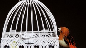 Encaged Watches - SoGlitter Times