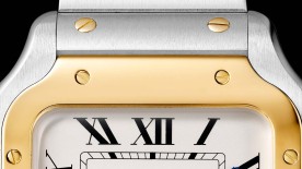 Two-tone, setting the tone - Two-tone watches