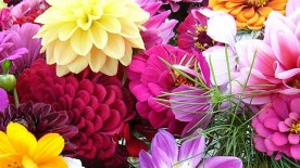 Flowers in the watchmaking garden - Summer watches