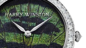 Premier Precious Butterfly Automatic 36mm - Harry Winston
