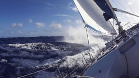 C’est pas l’homme qui prend la mer… - Ocean Cup