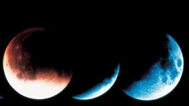 The moon and the stars - Ladies’ watches