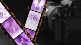 Tick Tock (Click Clock): Studio Diode - Photo Shoot