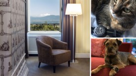A Luxurious Setting for Talented Photographers - Watch Photo Awards