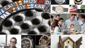 Schools, a splash of colour and a niche brand - Newsletter