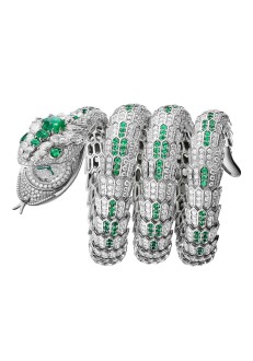 Serpenti Misteriosi Dragone