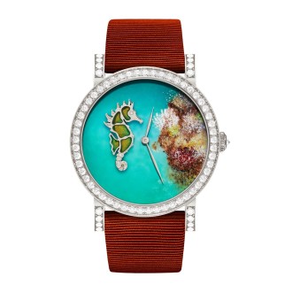 Rondo Seahorse