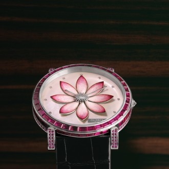 Amazone Luckee Lotus