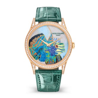 Tropical Fish