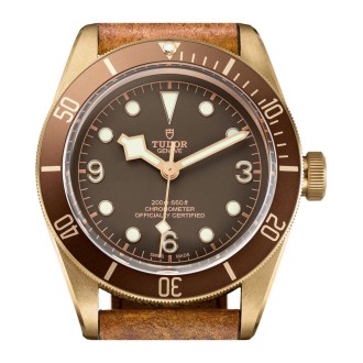 Black Bay Bronze