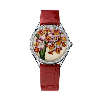Florilège - Montre Renealmia