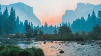 Oris Sustainability Report ©baileyzindel unsplash