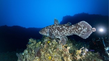 Unseen Expeditions ©Alexis Chappuis