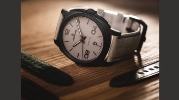 Epurato Safari - Anonimo