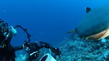 Video. Pristine Seas Expeditions - New Caledonia - Blancpain