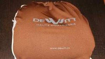 A new competition every day - Win a DeWitt travel pillow