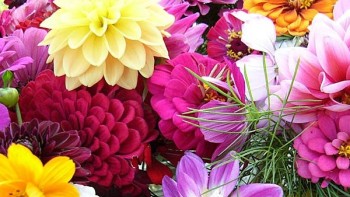 Flowers in the watchmaking garden - Summer watches