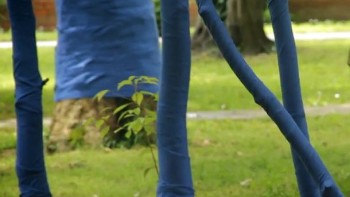 Video. Blue Forest - Girard-Perregaux
