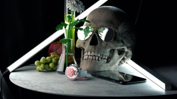 Skull 48.8, colours - HYT