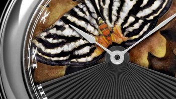 Now you see me, now you don't - Secret watches, playful watches