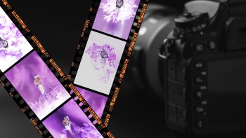 Tick Tock (Click Clock): Studio Diode - Photo Shoot